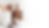adre.png