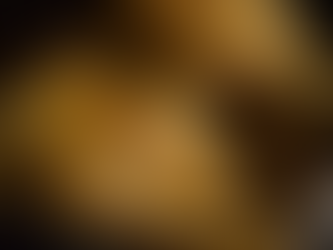 【お知らせ】7/1よりバーベキュー食材セット、アウトドア料理の体験サービス提供をはじめます