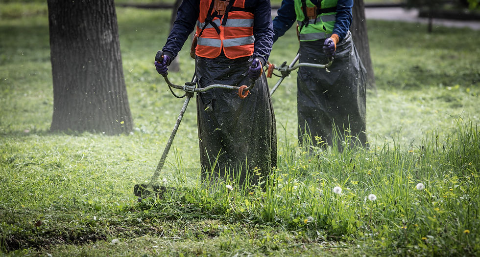 Two workers in orange vests mow grass with trimmers for land clearing in a park. Green grass and trees surround them, creating a dynamic outdoor scene.