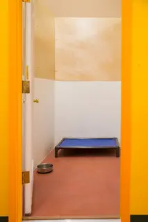 Open doorway leading to a small room with dog bed