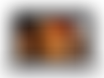 Wix vs. Shopify: Which Is Better For Your Business?