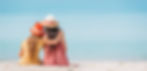 Two women sit on a sandy beach, wearing sun hats and summer dresses, traveling with kids