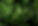 close-up-green-leaves-nature.jpg