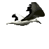 Moewe.webp