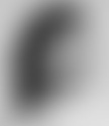 Building Background Knowledge: Marie Maynard Daly