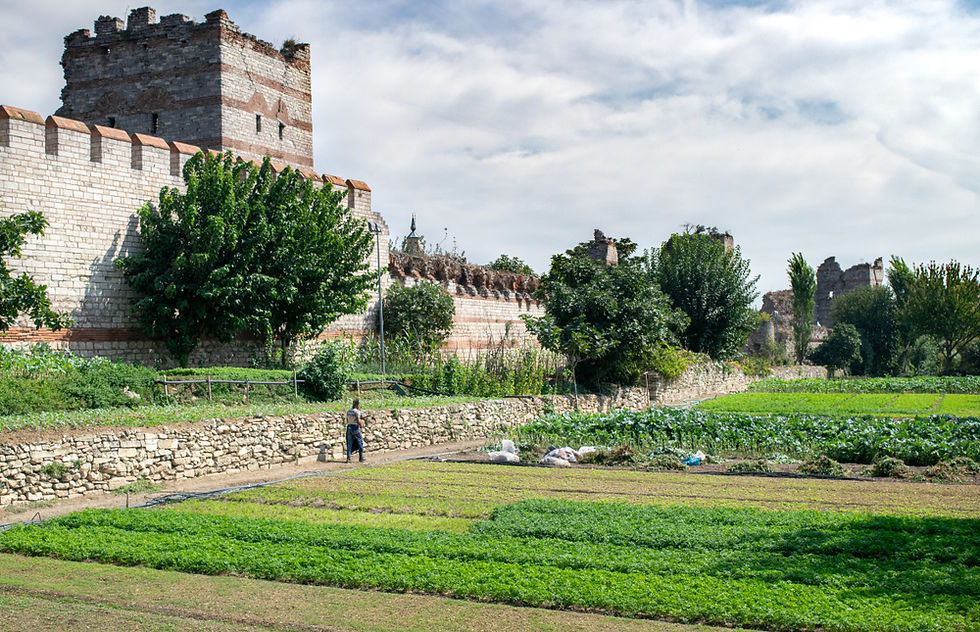 a farm next to an Ottoman wall