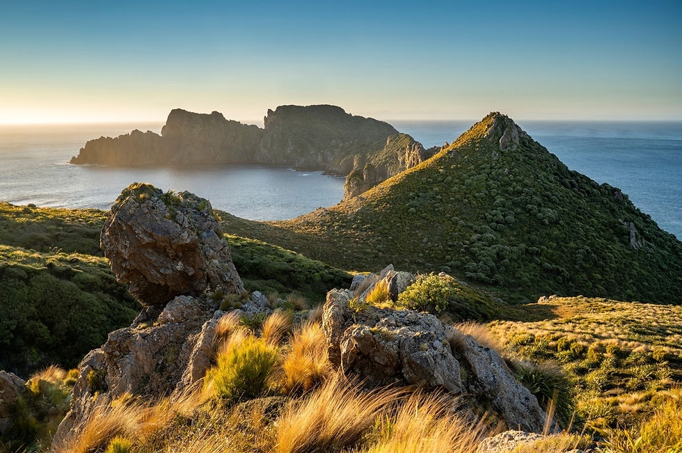 New Zealand