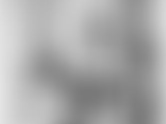 The Chinese Exclusion Act for AP World History