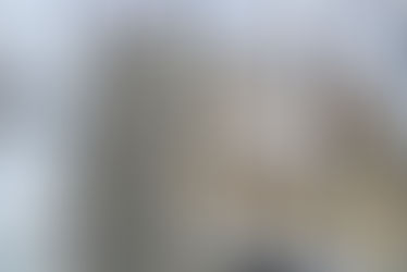 Nestlé as an Example of a Multinational Corporation for AP World History