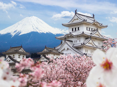 Tokugawa Japan for AP World History