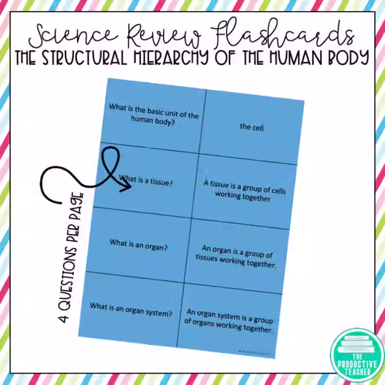 Thumbnail: Structural Hierarchy of the Human Body Flashcards