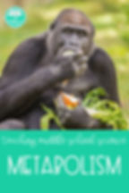 metabolism for middle school science