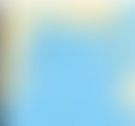 Trade and the Swahili City-States for Unit 2 of AP World History