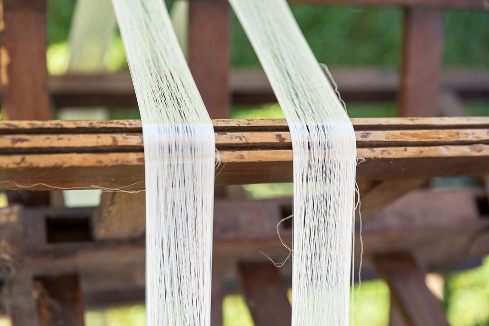 raw silk from silk worms