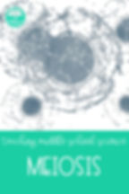 meiosis for middle school science