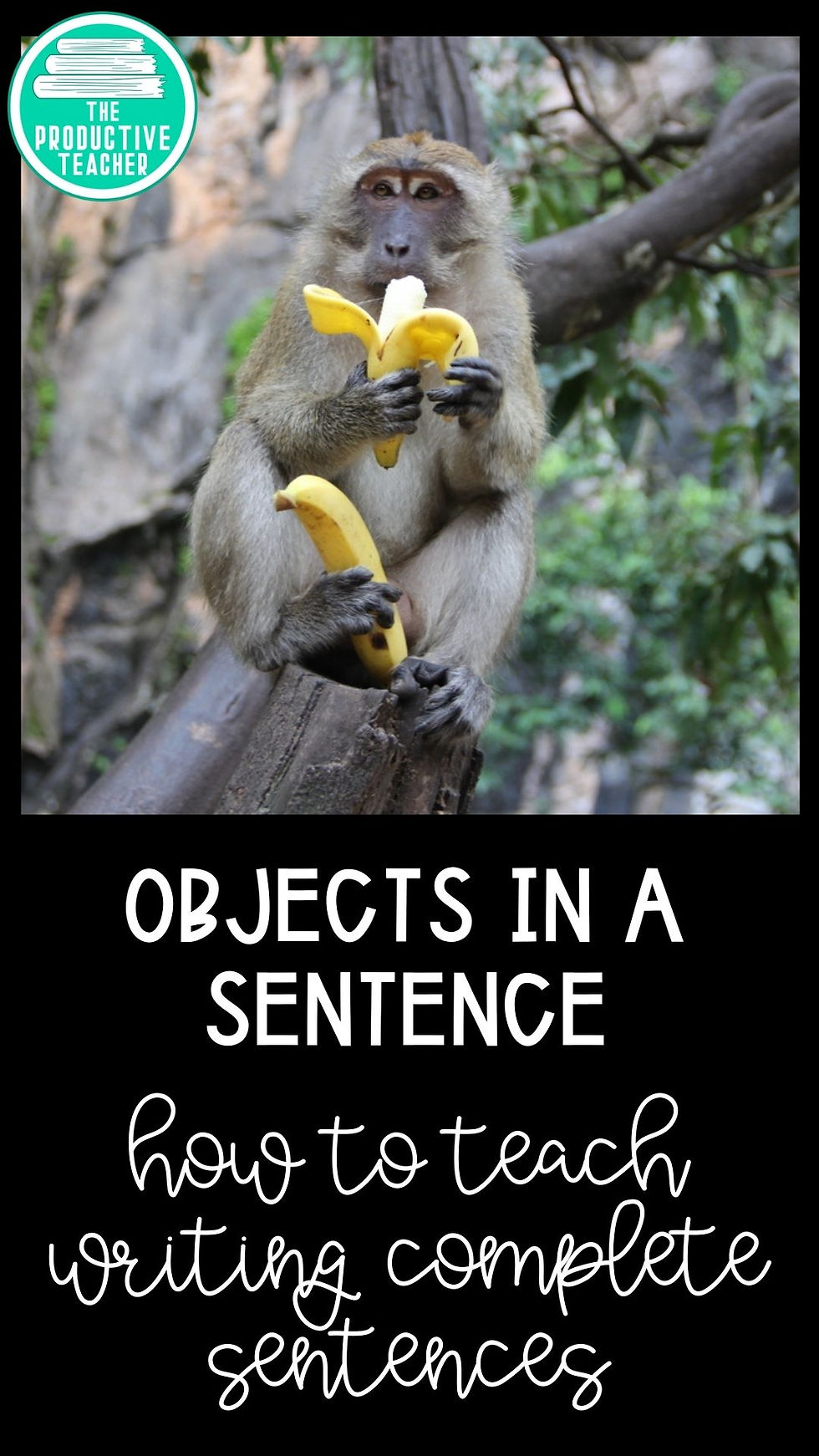 objects in a sentence