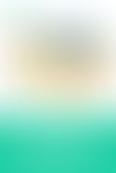 Cellular Metabolism for Middle School Science