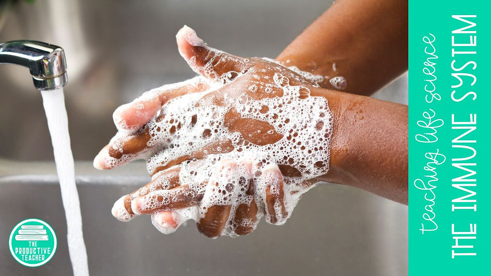 washing hands and the immune system