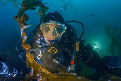 Sylviaunderwater.jpeg