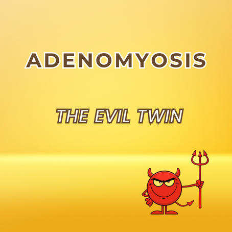 Navigating the Challenges of Living with Adenomyosis & Endometriosis for you and your Digestion