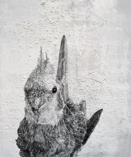 Nymphensittich,_30x25x3_cm,_Bleistift,_Ölfarbe_und_Zeitungsdruck_auf_Holzplatte,_2018-FH.j