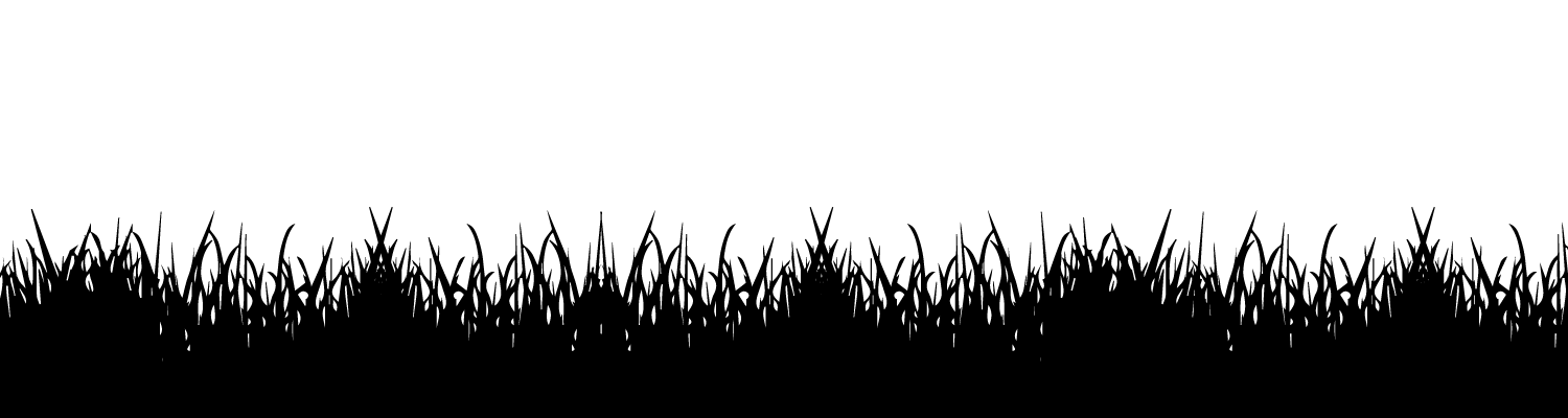 GymShoeWebsite-FieldTexture.gif
