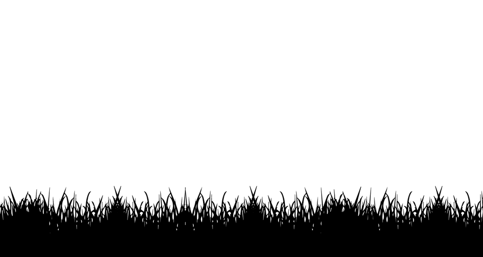 GymShoeWebsite-BG_Grass.png
