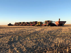 Harvest 2018