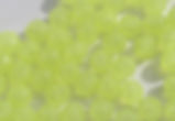 #32 - Transparent Glow in the Dark 12mm Faceted Beads