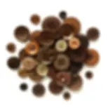 Chocolate Brown Button Basics