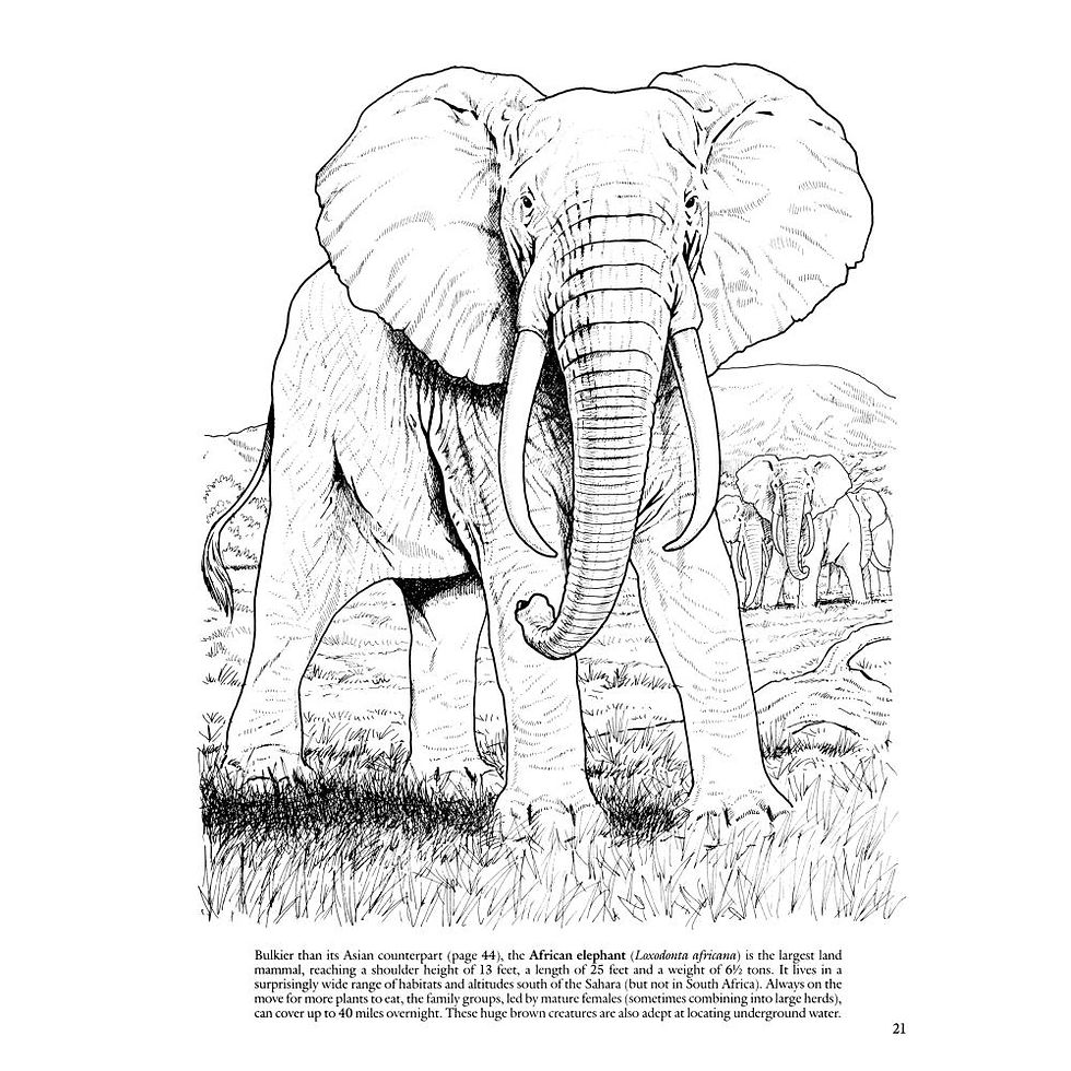 Thumbnail: Wild Animals Coloring Books