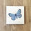 Thumbnail: Large Blue Butterfly Coaster