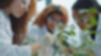 AdobeStock_747629088 (1).jpeg