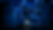 IMG_7982.png