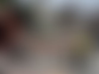 新竹郵局前進社區宣導防詐 里民踴躍參與還能拿好禮