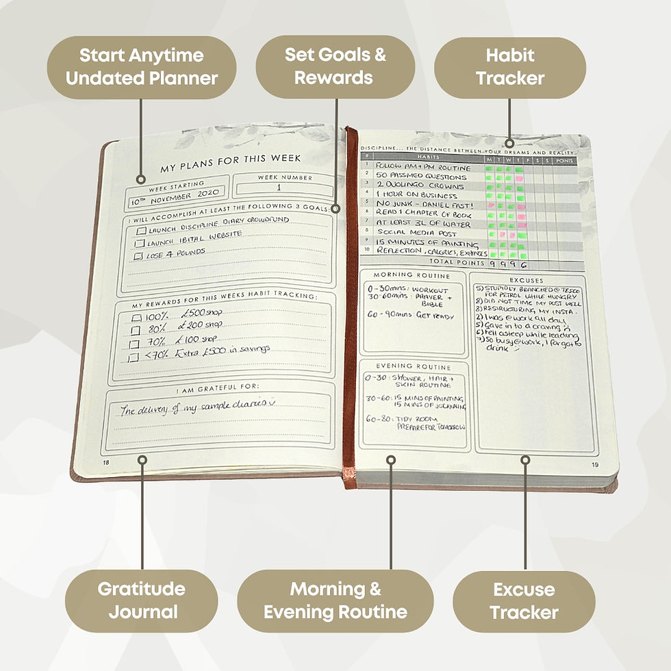 Thumbnail: Discipline Diary Habit Tracker Productivity Planner