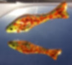 Fused Glass Fish - Red/Orange Group