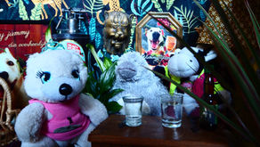 Blik op de Knuffel Tv; Ook een programma voor de mensen