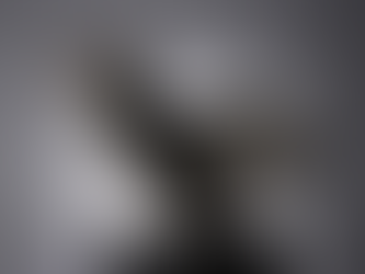 Solidity and Assemblage | Opening: April 29, 2026