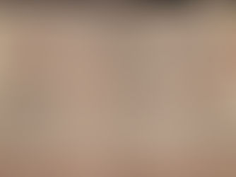 미국에서 성경 1,900만 부 판매… 22년 만의 대기록