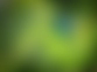 하나님의 창조물