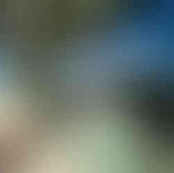 MD Designs LLC - Open House