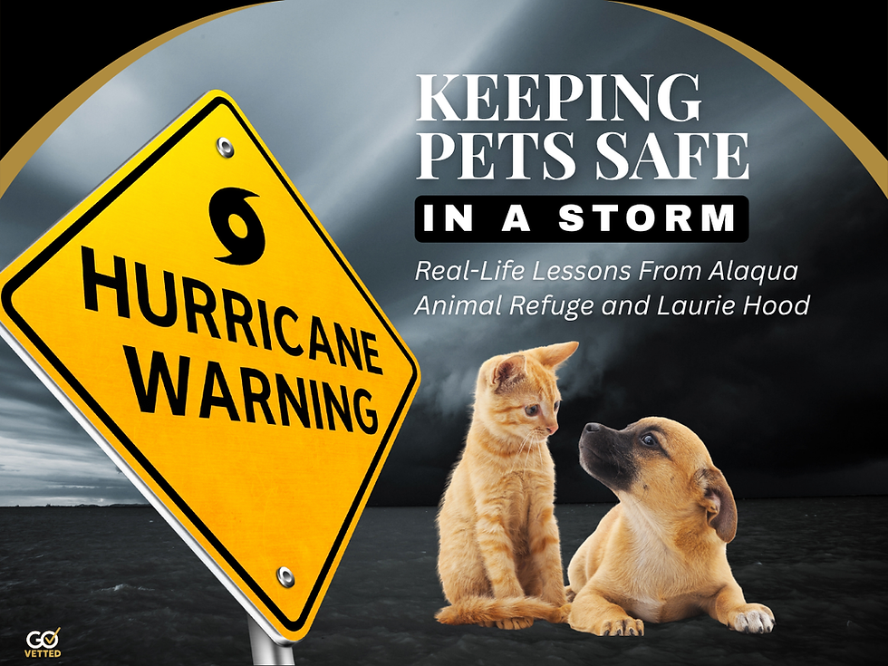 Keeping Pets Safe in a Storm: Real-Life Lessons from Alaqua Animal Refuge and Laurie Hood