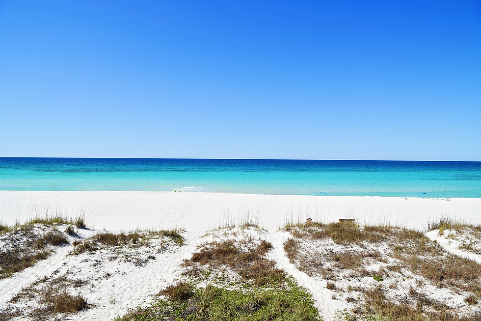 Scenic Gulf Coast beach view featuring white sand dunes, turquoise water, and a clear blue sky, representing the coastal environment Joanna Olsen proudly calls home.