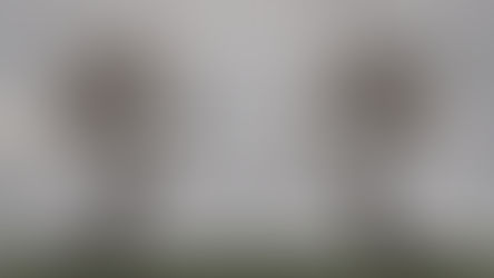 Two tree silhouettes shaped like human profiles facing each other, with birds flying between them symbolizing communication and shared thoughts.