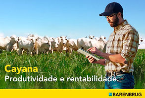 CV. Cayana (Pequeno).1.jpg