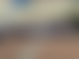 תחרות אתלטיקה