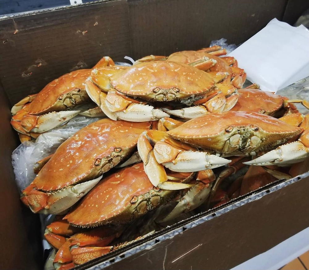 fresh El Rancho Market crabs from Morro Bay