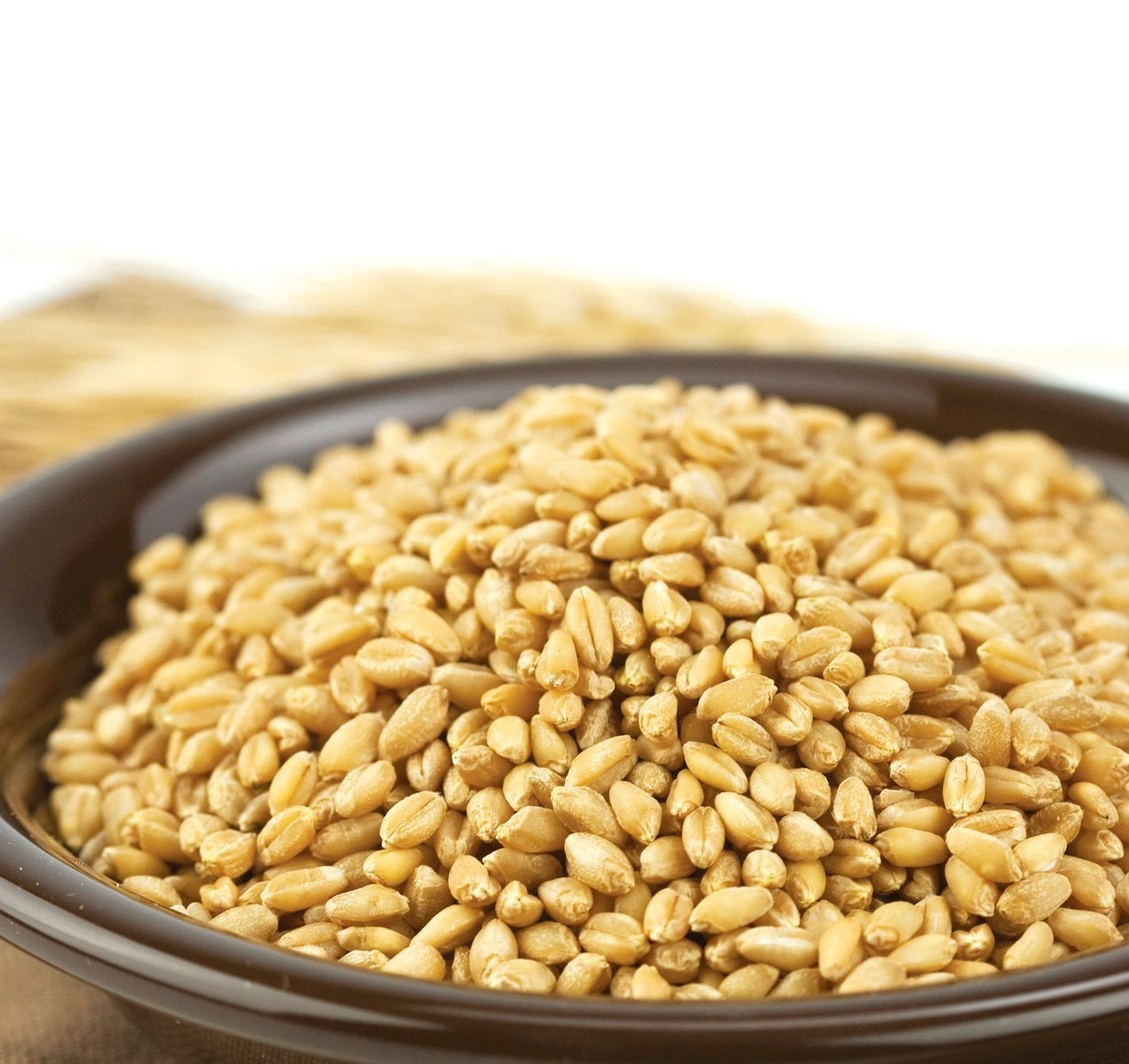 Soft White Wheat Berries, 5 lb