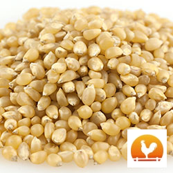 Amish Country® Baby White Popcorn, 2 Lb